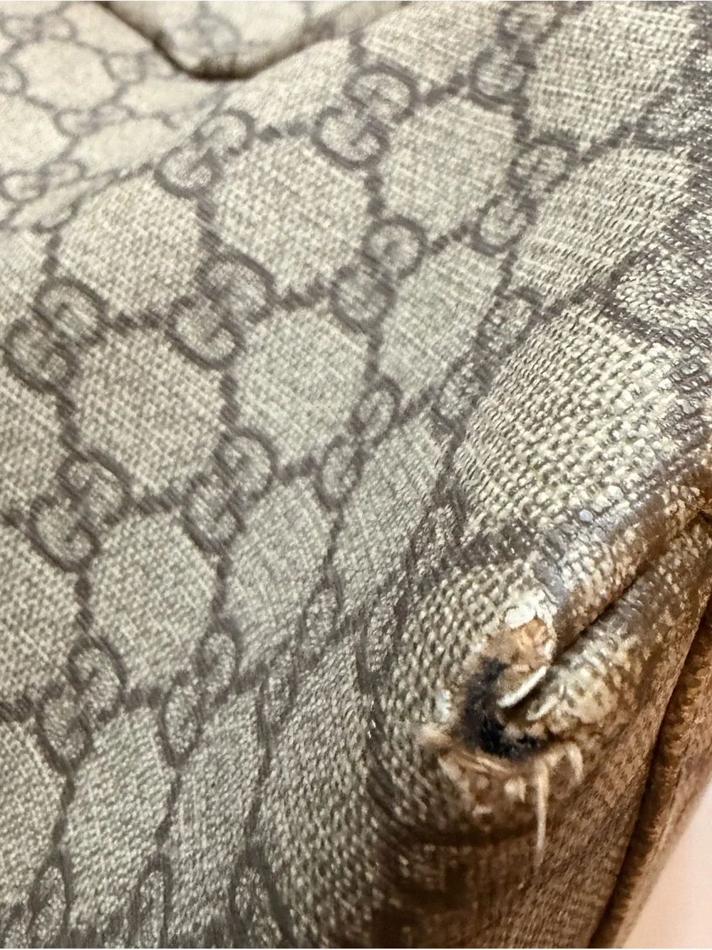 Gucci elegant brown